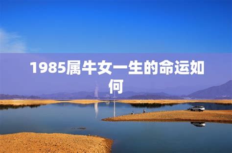 1985 属